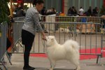 Meilleur de sexe opposé Limoges 2015